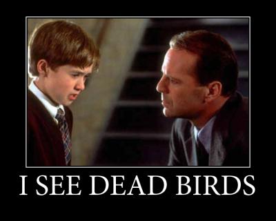 Dead Birds